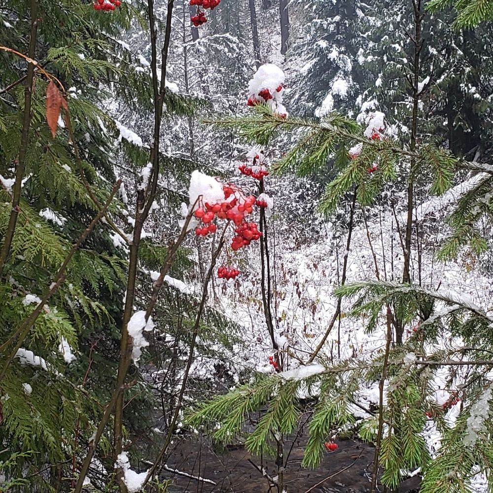 Meet your Posher, Briana